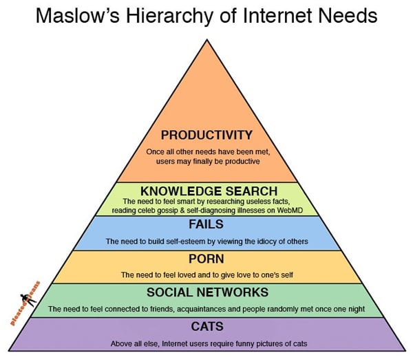 Web Designers’ Life: the Funniest Pictures from all Over the Web